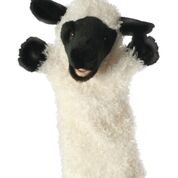 Shane the Sheep Puppet